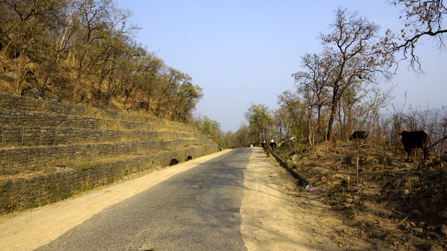 Climbing up by bike